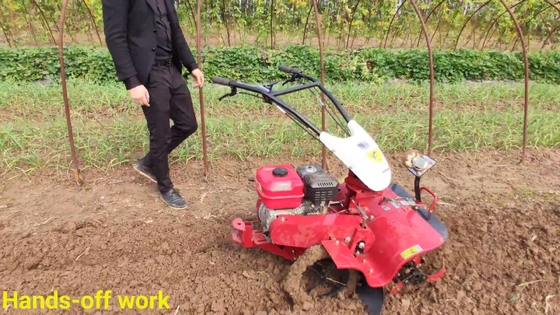 Larghezza di raccolta Oltre 10 cm Aziende agricole Nuovamente progettato motore a benzina da 4,0 kW Mini Tiller rotativo