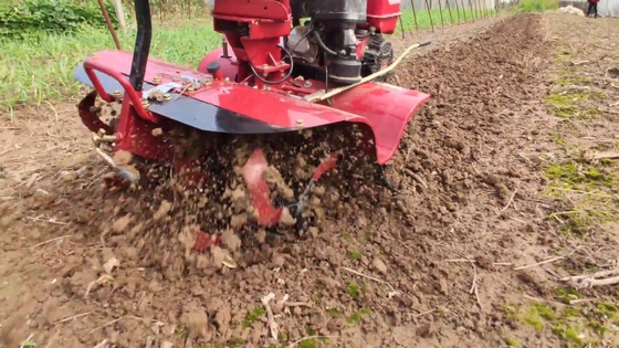 65 KG Tilling Machine Ultimo modello per la coltivazione di piccoli terreni a 4 KM / h velocità di lavoro