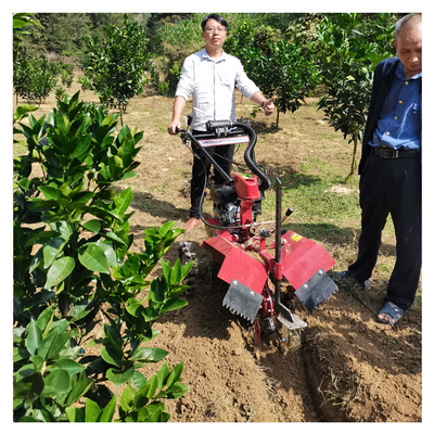 Tiller a benzina per micro-potenza per la lavorazione del terreno Larghezza superiore a 10 cm 145*62*85 cm Dimensione