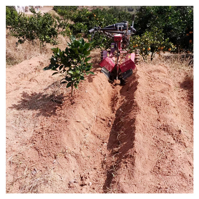 Potente motore a benzina Orchard Tiller Weeder per 145 * 62 * 85cm Orchard Management