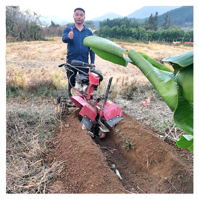 Potente motore a benzina Orchard Tiller Weeder per 145 * 62 * 85cm Orchard Management