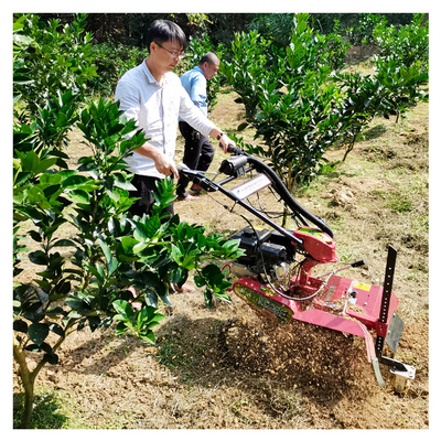 Potente motore a benzina Orchard Tiller Weeder per 145 * 62 * 85cm Orchard Management