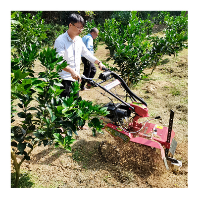 Produttore di frutti di frutta Tiller Motore a benzina Mini Trencher Ditching Machine per giardino