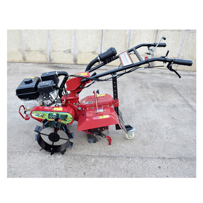 Produttore di frutti di frutta Tiller Motore a benzina Mini Trencher Ditching Machine per giardino