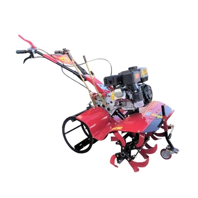 170F All Gear Transmission Directly Connected Farm Cultivator for and Rotary Tolling (Cultivatore agricolo con trasmissione a tutte le marce e collegato direttamente alla trasmissione a rotazione)