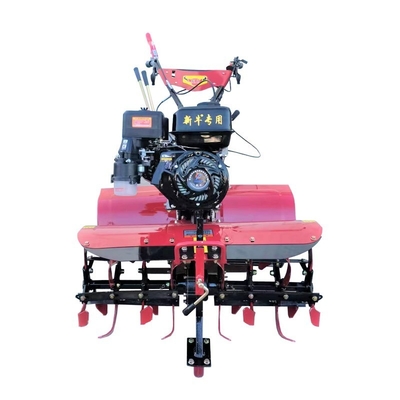 170F All Gear Transmission Directly Connected Farm Cultivator for and Rotary Tolling (Cultivatore agricolo con trasmissione a tutte le marce e collegato direttamente alla trasmissione a rotazione)