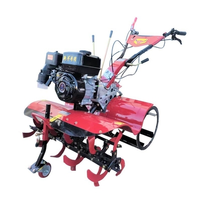 170F All Gear Transmission Directly Connected Farm Cultivator for and Rotary Tolling (Cultivatore agricolo con trasmissione a tutte le marce e collegato direttamente alla trasmissione a rotazione)