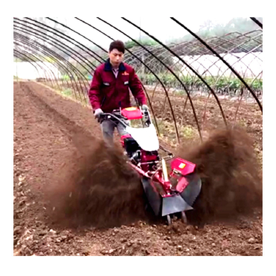Economica Mini Power Tiller Gear Cultivator 10-40cm Larghezza di Rotolamento e Discarico di Benzina