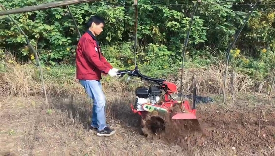 Motore a benzina Mini Tiller Alto livello di sicurezza per il progresso della coltivazione del frutteto