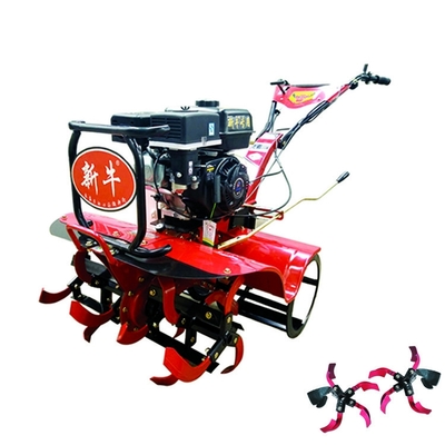 160*62*108cm Trasmissione a cintura e ingranaggi multiuso 170F Motore a benzina