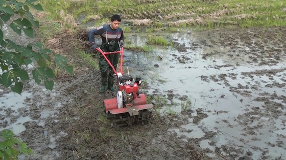 4KW 4 Wheel Drive Garden Tiller Cultivator con larghezza regolabile 15-35cm