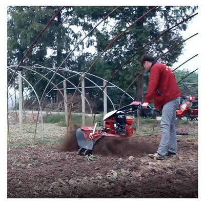 Motore diesel mini-tiller da 150 kg per attrezzature agricole e macchine per il disboscamento