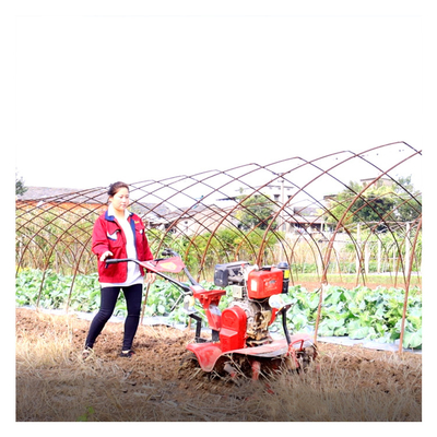 Apparecchiature per macchine agricole professionali Mini Tiller da 4 kW per l'agricoltura