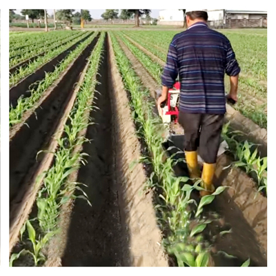 Economical Diesel Agriculture Tiller with Gear Transmission and Chassis Structure (Tiller economico a gasolio per l'agricoltura con trasmissione e struttura del telaio)