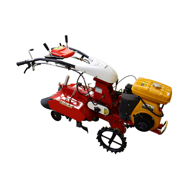 Trasmissione a marciapiede Mini Micro Rotary Walking Trencher Machine per l'opzione di raccolta