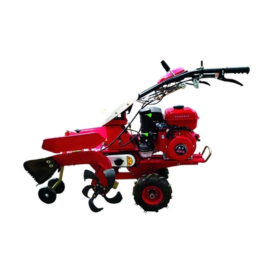 Trasmissione a marciapiede Mini Micro Rotary Walking Trencher Machine per l'opzione di raccolta