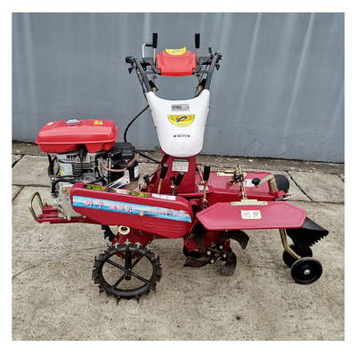 Trasmissione a marciapiede Mini Micro Rotary Walking Trencher Machine per l'opzione di raccolta