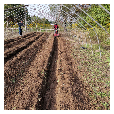 4KM/h Velocità di lavoro Motore a benzina Mini Power Tiller Power Weeder Rotavator Cultivator