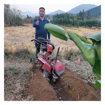 4KM/h Velocità di lavoro Motore a benzina Mini Power Tiller Power Weeder Rotavator Cultivator