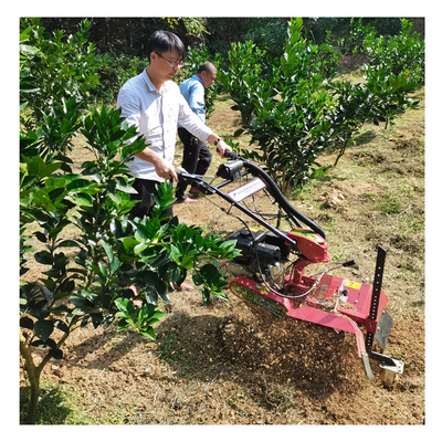 4KM/h Velocità di lavoro Motore a benzina Mini Power Tiller Power Weeder Rotavator Cultivator