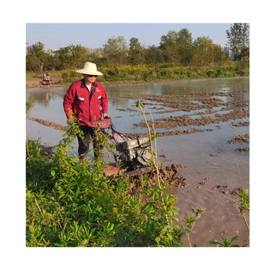 Nuovamente progettato 170F Motore a benzina 4WD Mini Power Tiller Cultivator Compact per la fattoria