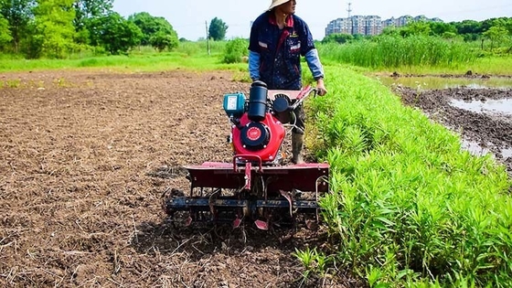 4KW Alto livello di sicurezza Macchina agricola multifunzione Motore a benzina 4WD 170f Mini Tiller