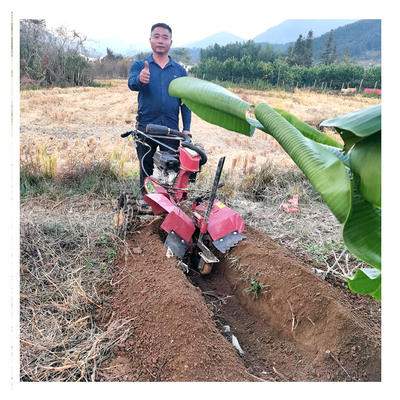 Gestione della struttura degli ingranaggi Mini Power Tiller con larghezza di lavoro di 70 cm e motore a benzina