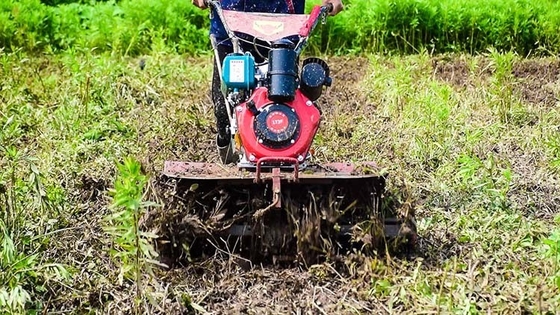 Attrezzatura agricola multiuso a quattro ruote motrici 173F Coltivatore a motore diesel per giardino