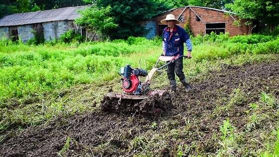 Attrezzatura agricola multiuso a quattro ruote motrici 173F Coltivatore a motore diesel per giardino