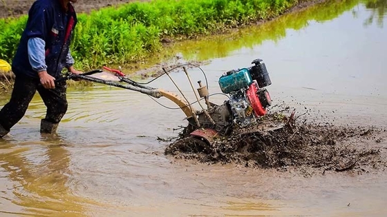 Attrezzatura agricola multiuso a quattro ruote motrici 173F Coltivatore a motore diesel per giardino