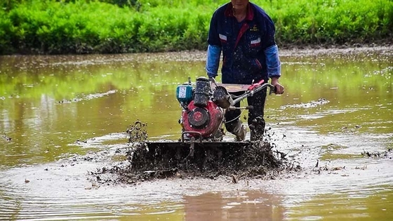 Attrezzatura agricola multiuso a quattro ruote motrici 173F Coltivatore a motore diesel per giardino