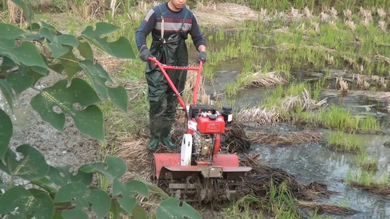 4 kW Corto Modello 173f Motore diesel Power Tiller per l'agricoltura sostenibile