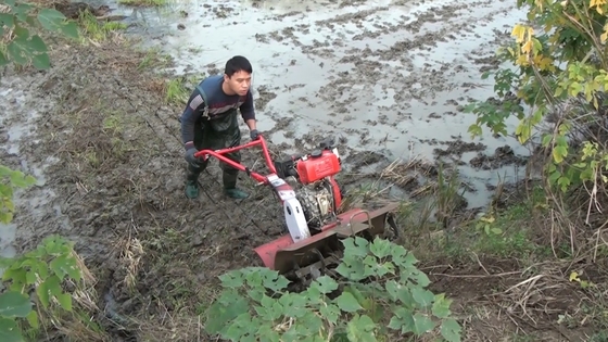 4 kW Corto Modello 173f Motore diesel Power Tiller per l'agricoltura sostenibile