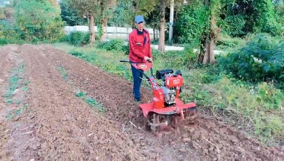 4 kW Corto Modello 173f Motore diesel Power Tiller per l'agricoltura sostenibile
