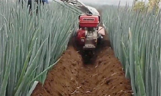 Agricoltura ventilata Tiller rotativo a benzina da 4,05 kW con funzionalità di struttura del telaio