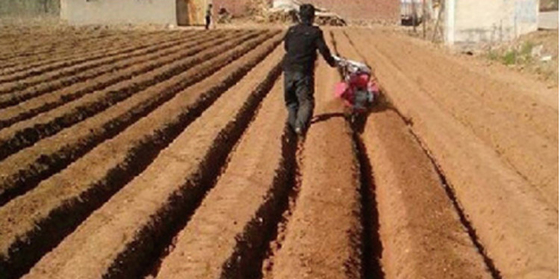 Agricoltura ventilata Tiller rotativo a benzina da 4,05 kW con funzionalità di struttura del telaio