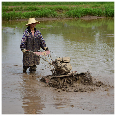 Alto livello di sicurezza 4WD Paddy Field Tilling Light 170F Cultivator Top Choice per gli agricoltori