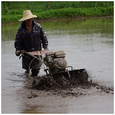 Alto livello di sicurezza 4WD Paddy Field Tilling Light 170F Cultivator Top Choice per gli agricoltori