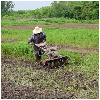 Alto livello di sicurezza 4WD Paddy Field Tilling Light 170F Cultivator Top Choice per gli agricoltori