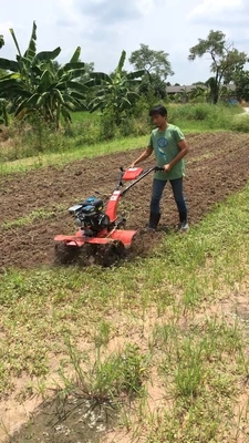 Mini Tiller Gear Structure Cultivator 45-85cm Larghezza di lavoro per la coltivazione del terreno