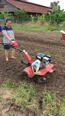 Agricoltura senza sforzo con elevato livello di sicurezza 9hp Power Tiller e tecnologia avanzata