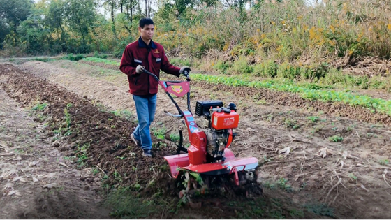 Coltivatore rotativo da 155*75*105cm per la coltivazione economica e di risparmio di tempo di paddy field