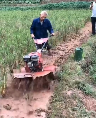 Agricoltura senza sforzo con elevato livello di sicurezza 9hp Power Tiller e tecnologia avanzata