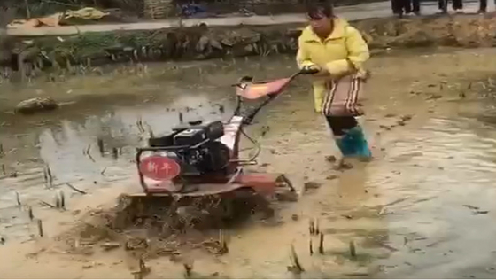 Coltivatore rotativo da 155*75*105cm per la coltivazione economica e di risparmio di tempo di paddy field