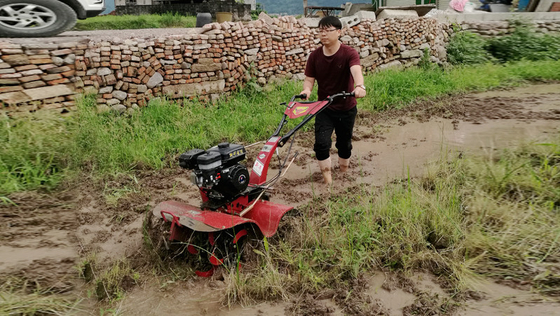 Coltivatore rotativo da 155*75*105cm per la coltivazione economica e di risparmio di tempo di paddy field