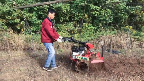 177F Motore a benzina a quattro ruote motrici Mini Power Tiller Cultivator per agricoltura e giardino