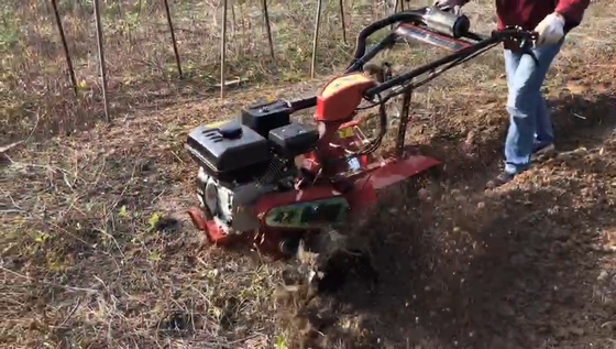 70 cm di larghezza di lavoro Compatto 177F Motore a benzina a quattro ruote motrici Mini Tiller Cultivator