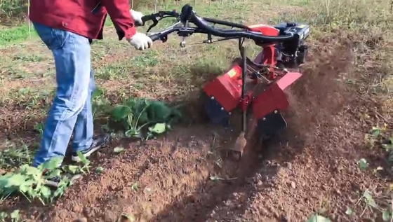 70 cm di larghezza di lavoro Compatto 177F Motore a benzina a quattro ruote motrici Mini Tiller Cultivator