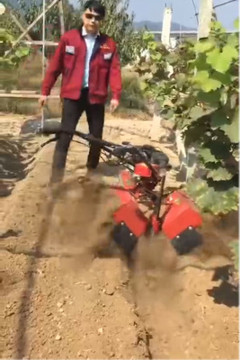 Mini Power Tiller Cultivator a quattro ruote motrici con motore a benzina economico 170F