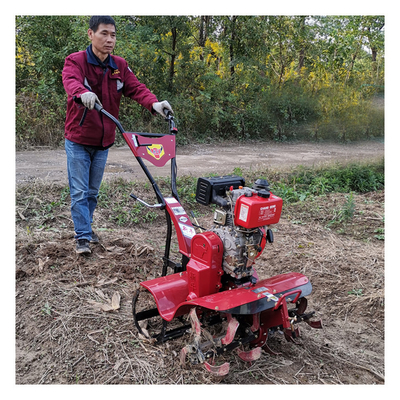 Struttura di motore di avvio elettronico per giardino
